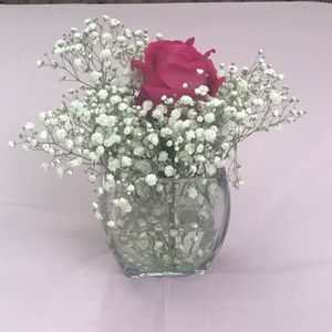 Meet your Posher, Haydee